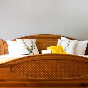 Uitgebreide Kamer met een King Size Bed